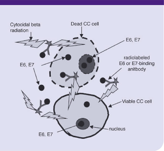 Cervical Cancer Mechanism