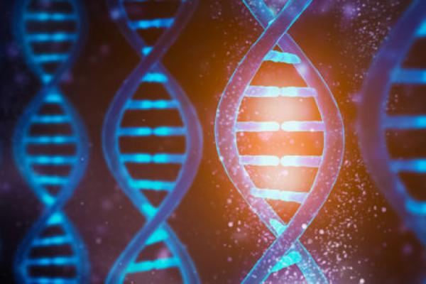 Close up image of DNA strands showing the double helix.