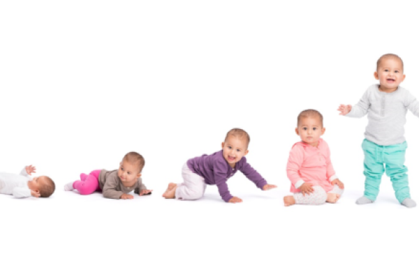 Baby development stages - baby laying, baby on stomach, crawling, sitting and finally standing.